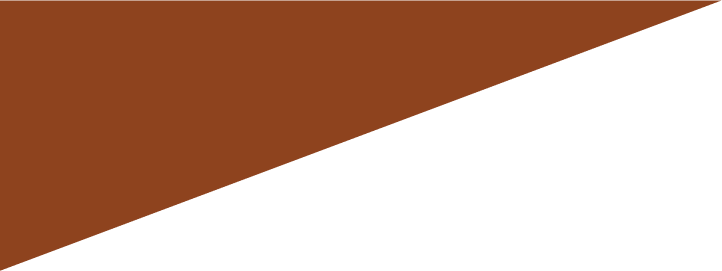 Vector 1
